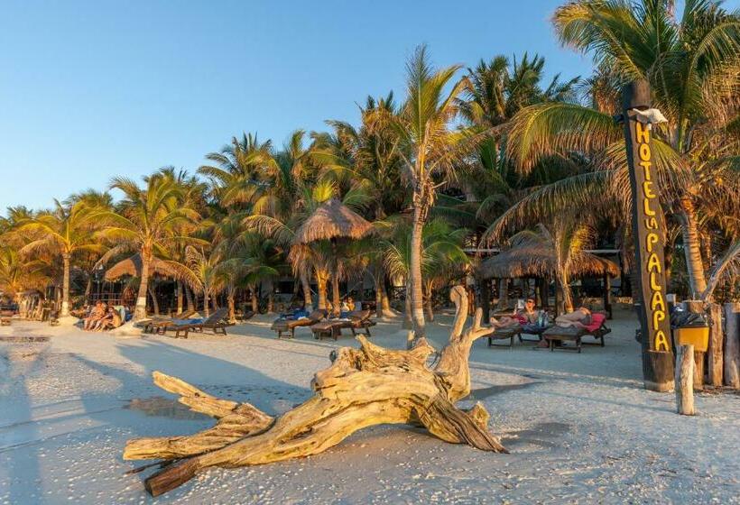 Beachfront Hotel La Palapa   Adults Only