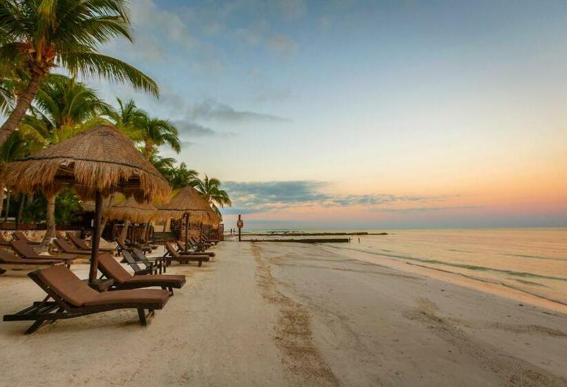 Beachfront Hotel La Palapa   Adults Only