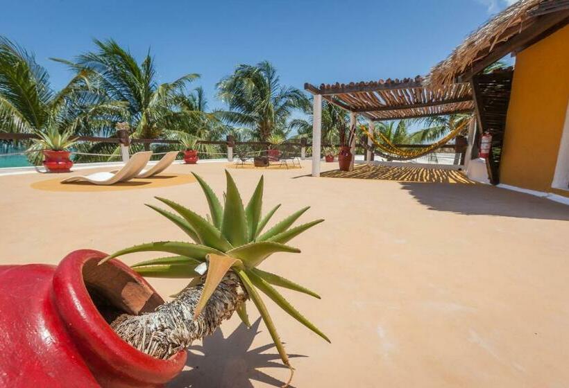 Beachfront Hotel La Palapa   Adults Only