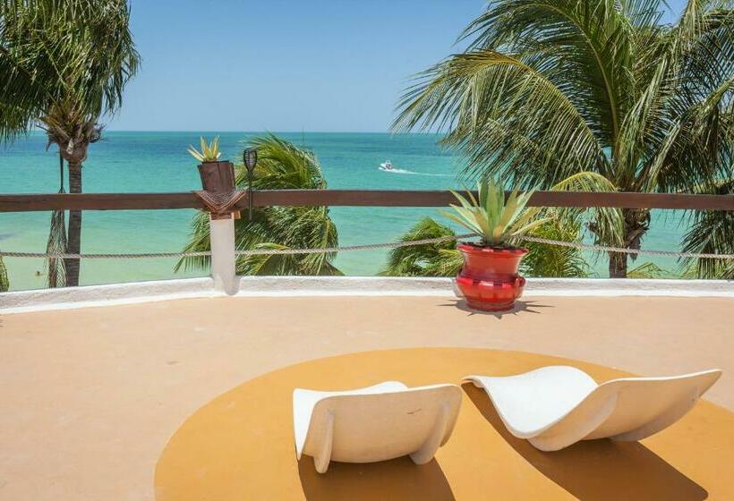 Beachfront Hotel La Palapa   Adults Only