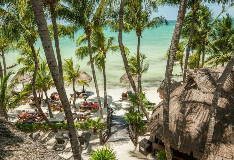 Beachfront Hotel La Palapa   Adults Only