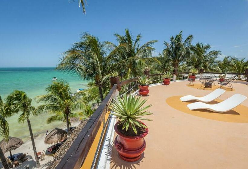 Beachfront Hotel La Palapa   Adults Only