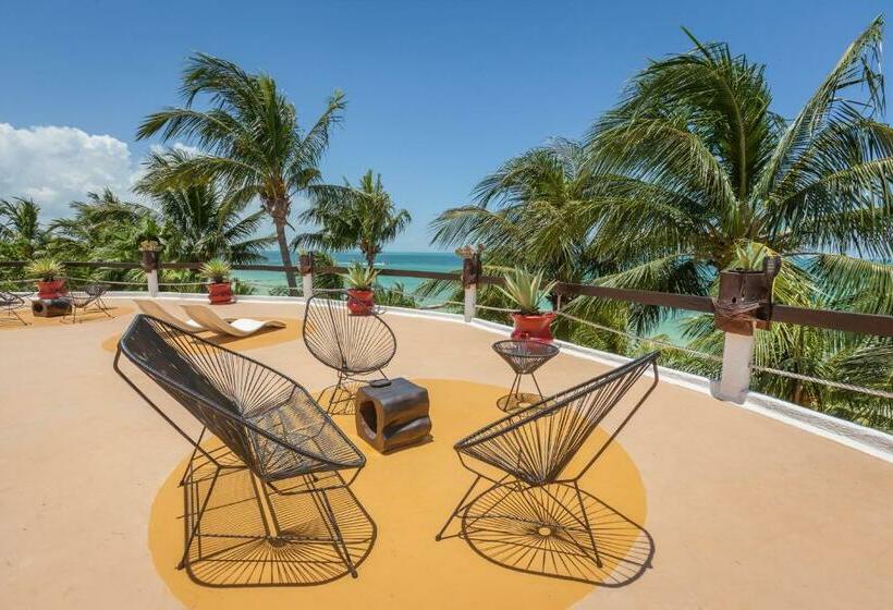 Beachfront Hotel La Palapa   Adults Only