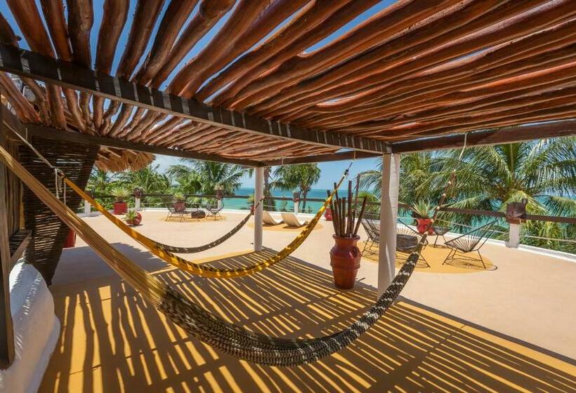 Beachfront Hotel La Palapa   Adults Only