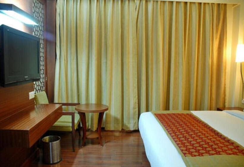 Fotos del hotel Cambay Grand Kukas:  5