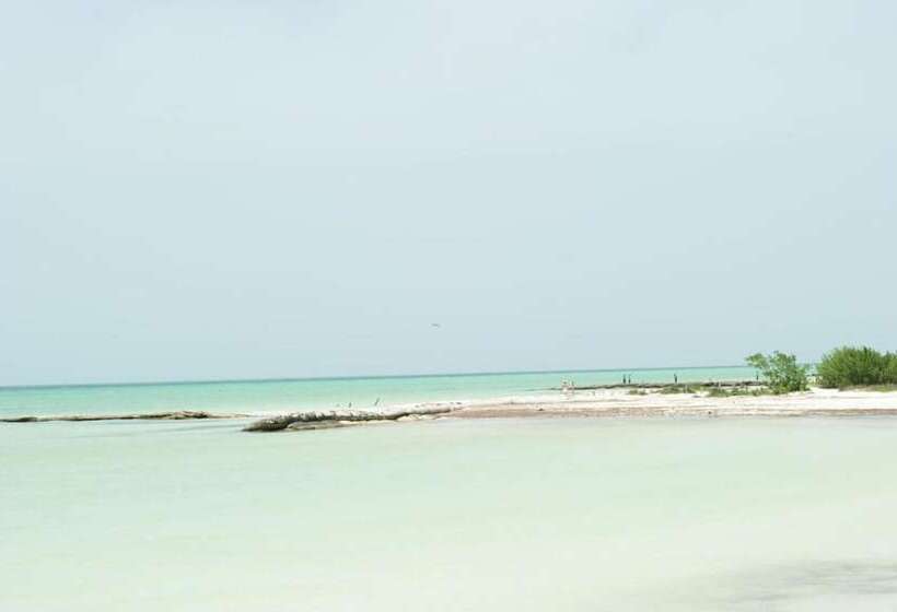 Fotos del hotel Holbox Dream Beachfront:  14