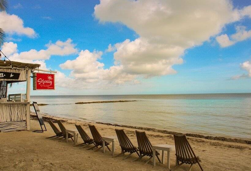 Fotos del hotel Holbox Dream Beachfront:  13