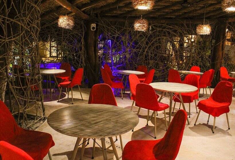 Fotos del hotel Holbox Dream Beachfront:  12