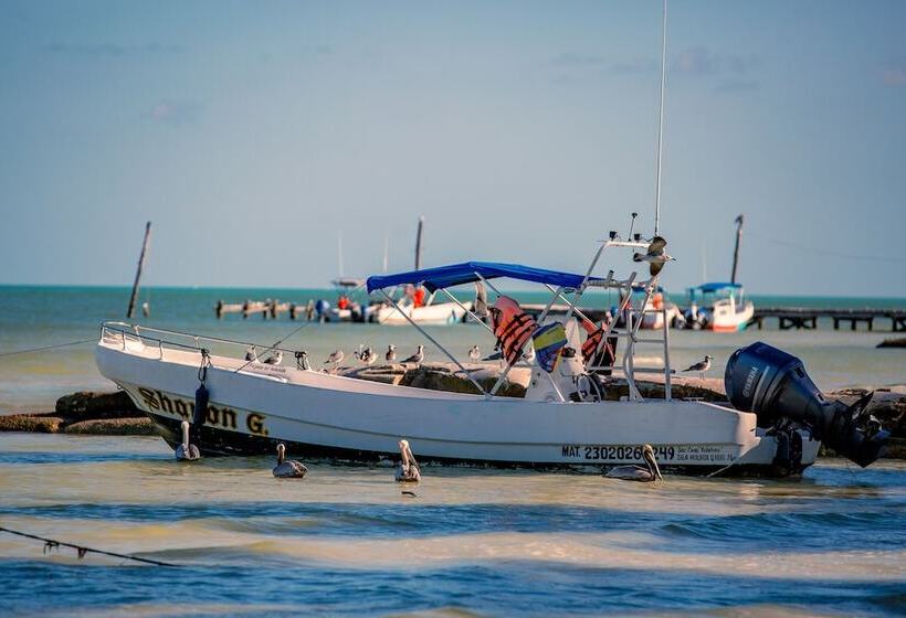 Fotos del hotel Holbox Dream Beachfront:  19