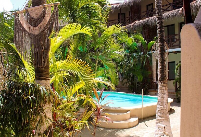 Fotos del hotel Holbox Dream Beachfront:  16