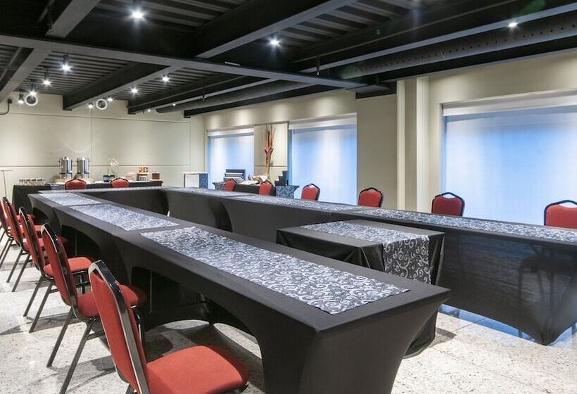 Fotos del hotel Holiday Inn Buenavista, An Ihg:  13
