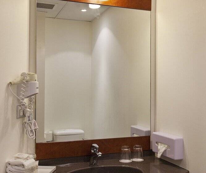 Fotos del hotel Ibis Hamilton Tainui:  12