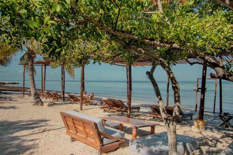 Fotos del hotel Las Nubes De Holbox:  2