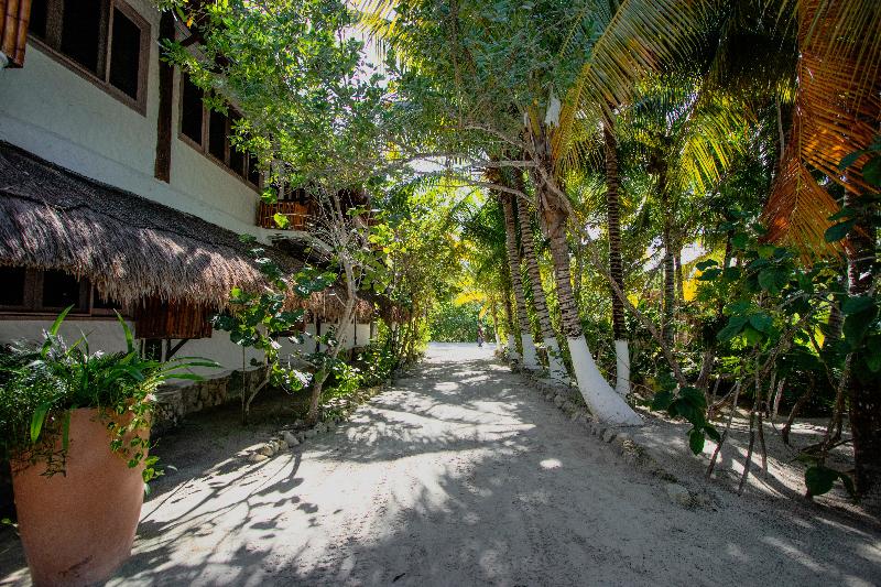 Fotos del hotel Las Nubes De Holbox:  5