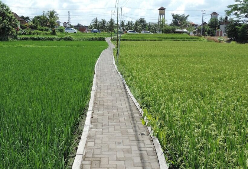 Fotos del hotel Nick S Hidden Cottages:  20