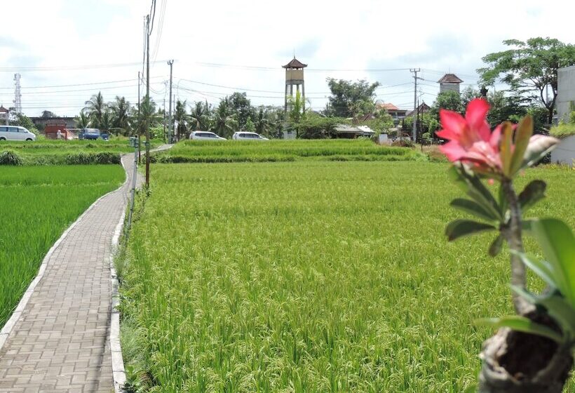 Fotos del hotel Nick S Hidden Cottages:  21