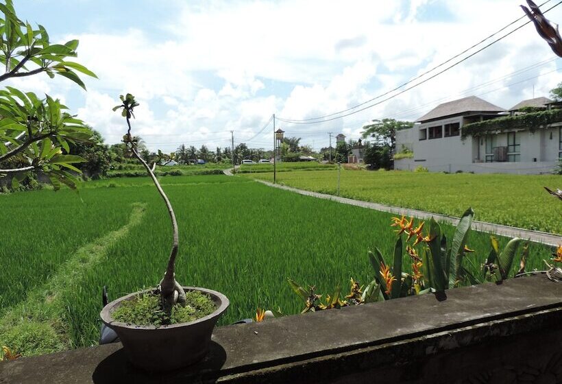 Fotos del hotel Nick S Hidden Cottages:  22