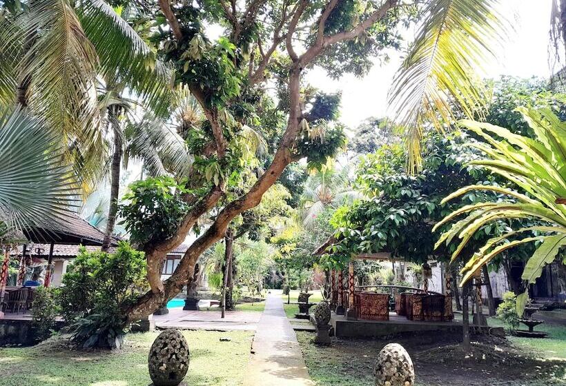 Fotos del hotel Panorama:  32