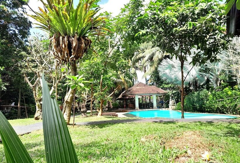 Fotos del hotel Panorama:  50