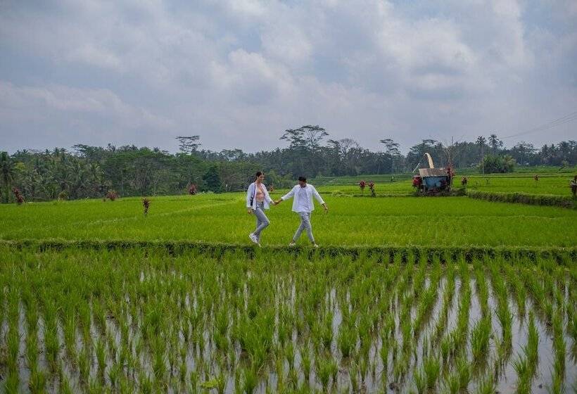 Fotos del hotel Puri Wulandari  A Boutique Resort & Spa:  3