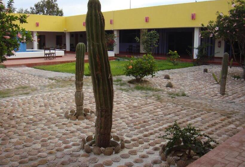 هتل The Halfway Inn