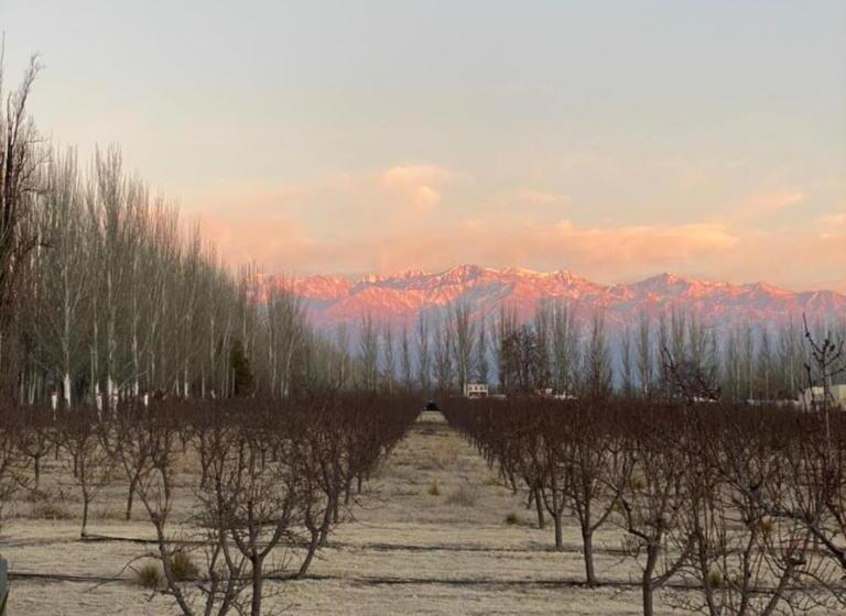 فندق صغير Las Guaras Valle De Uco