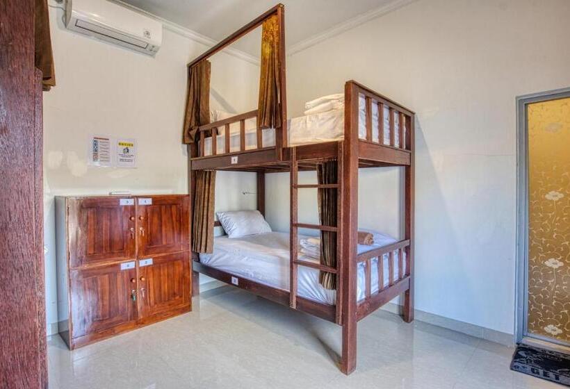 L Degus Hostel