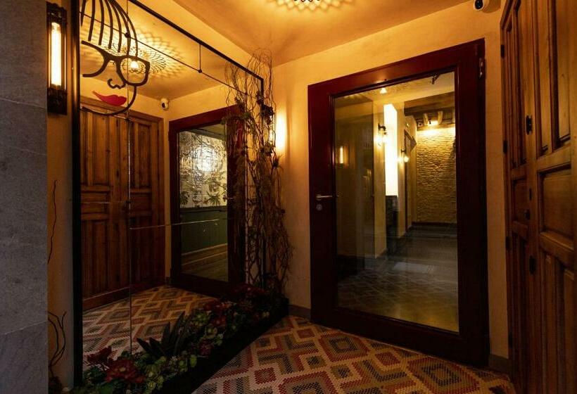 Hostel Carlota Braun