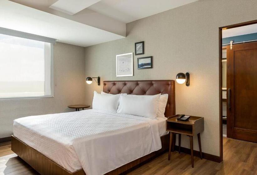 酒店 Four Points By Sheraton Monterrey Airport