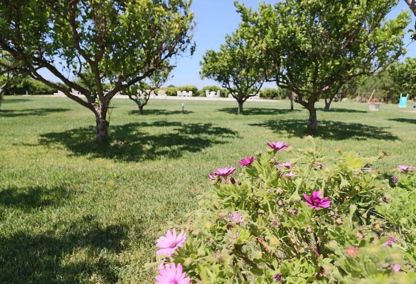 پانسیون B B With Swimming Pool Tenuta Agrumi Del Salento Triple Deluxe Citrus Attic