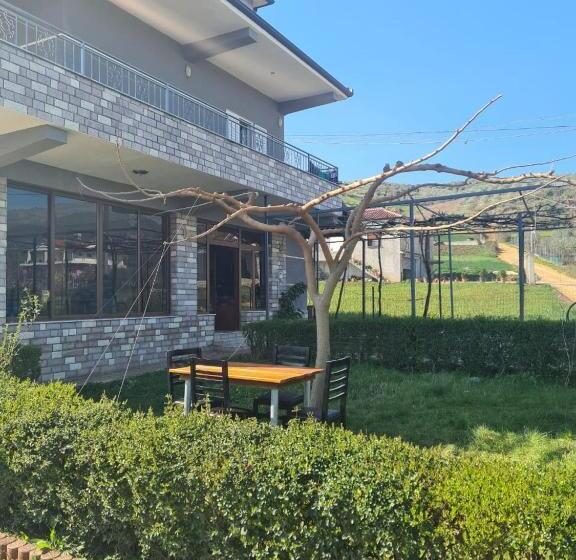 پانسیون Guest House Ilir