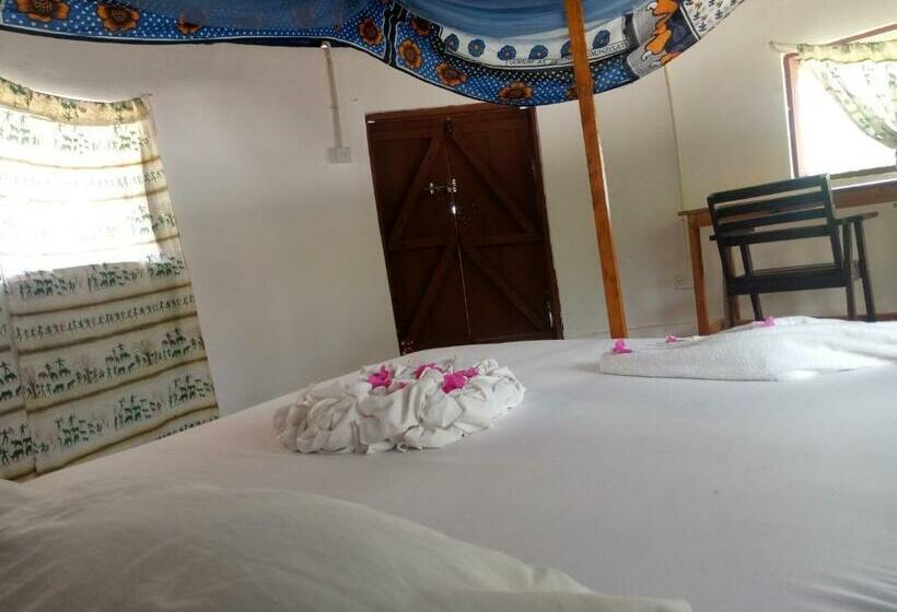 호텔 Funky Squids Beach Resort