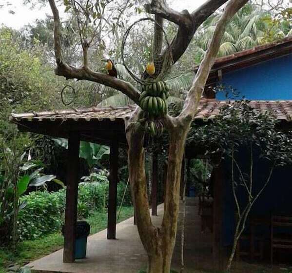 بنسيون Pousada E Camping Rupestre