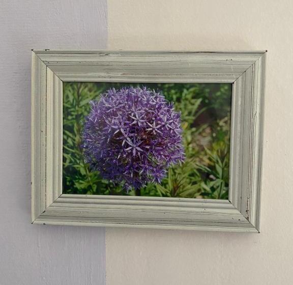 بنسيون Villa Karllösa Bed And Breakfast