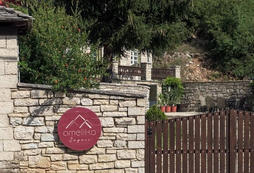 هتل Ameliko Zagori