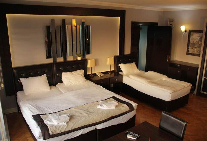 Fotos del hotel Taksim Aygunes Suite:  3