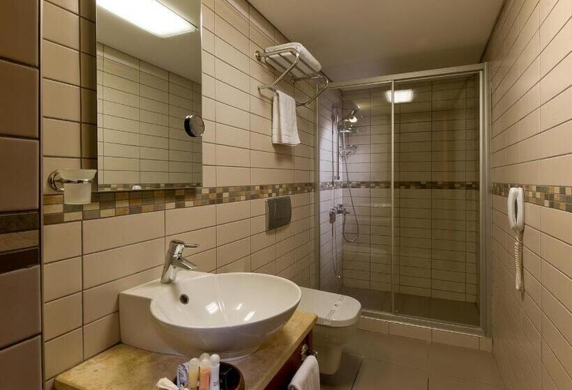 Fotos del hotel Istanbul Golden City Hotel:  14