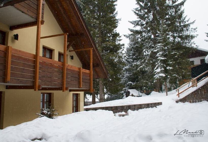 هتل Nevesole Folgarida Resort Apart