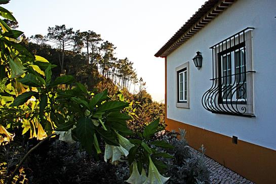 Hotel Quinta Da Torre