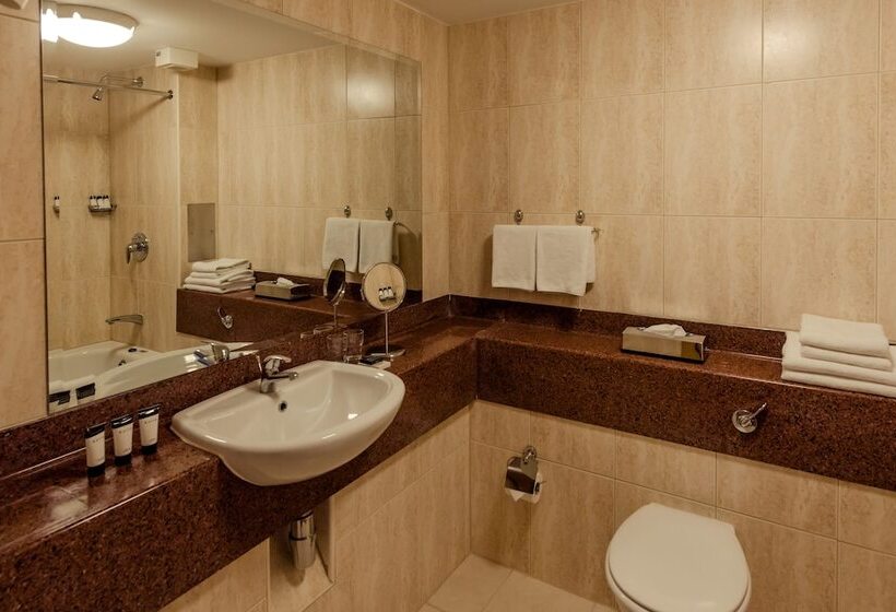 Отель Rochestown Lodge
