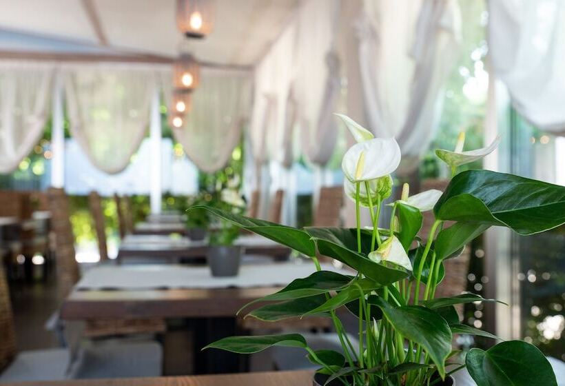 Fotos del hotel Silver Milano:  19