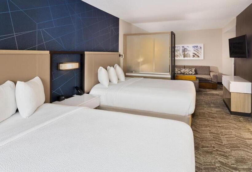 هتل Springhill Suites Birmingham Colonnade