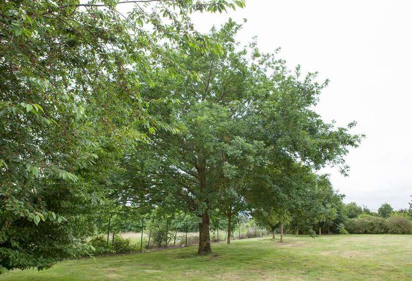 ホテル The Originals City, Plume Hôtel, Bressuire