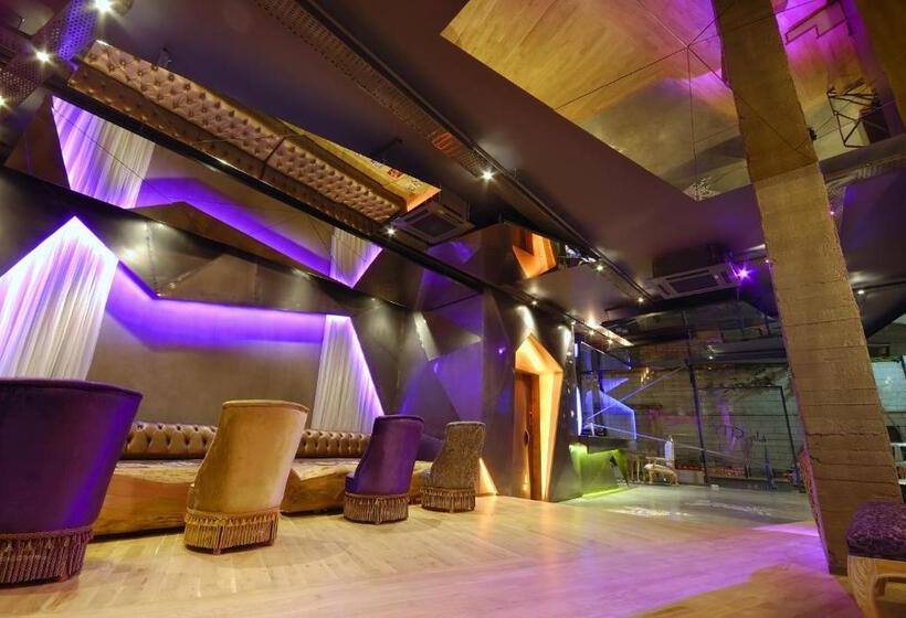 Fotos del hotel Tulip City:  24