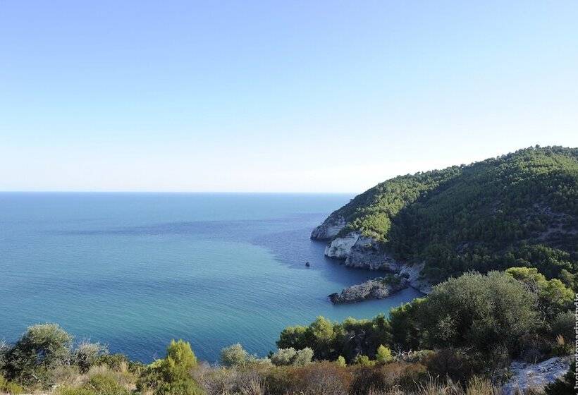 هتل Degli Ulivi