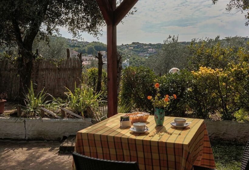 Relais Il Frantoio