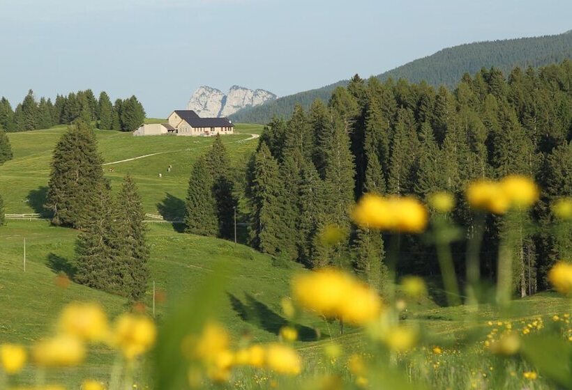 هتل Alpine Smart Residence