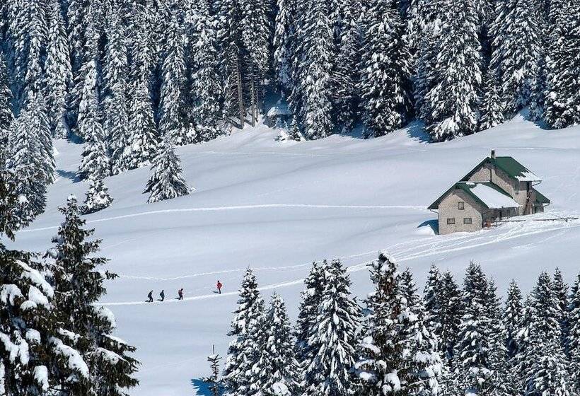 هتل Alpine Smart Residence