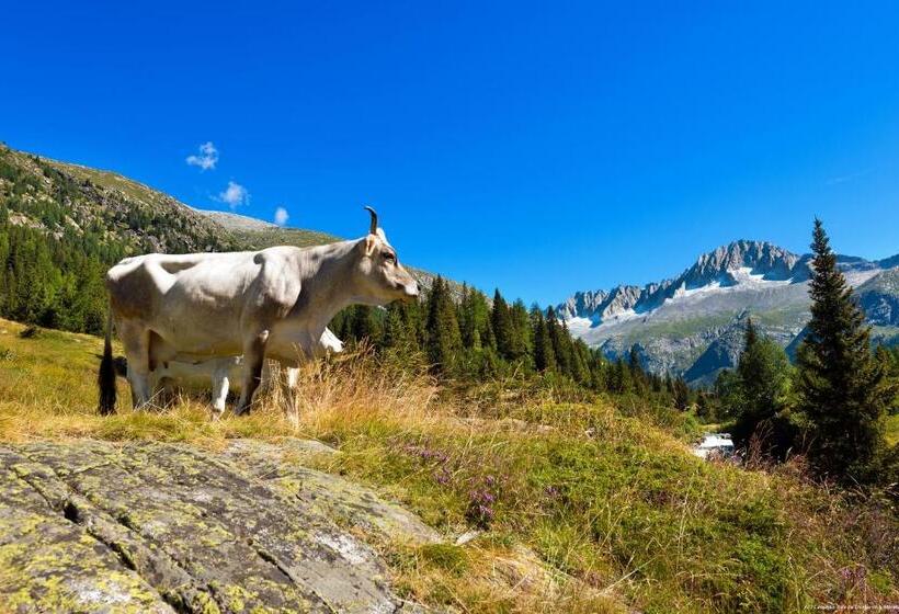 בית מלון כפרי Carlone