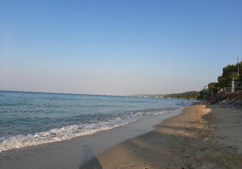 هتل Gi Ga Mar